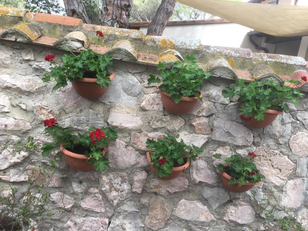 Tenuta Le Marze Castiglione della Pescaia Ngoại thất bức ảnh