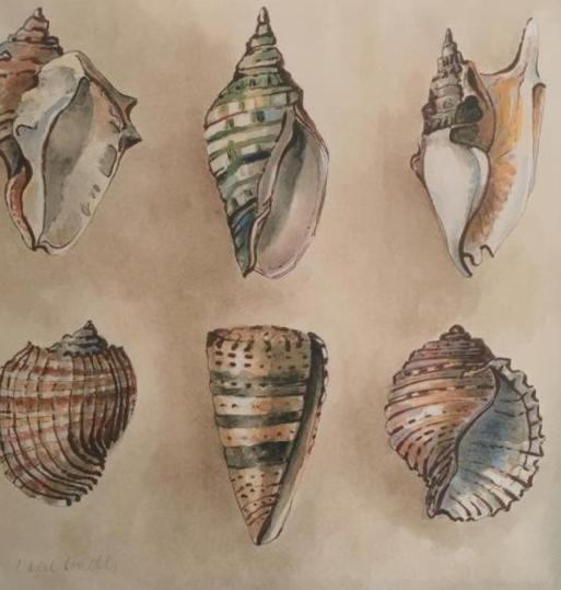 Tenuta Le Marze Castiglione della Pescaia Ngoại thất bức ảnh