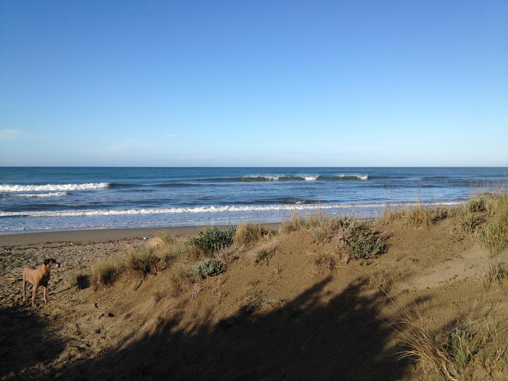 Tenuta Le Marze Castiglione della Pescaia Ngoại thất bức ảnh