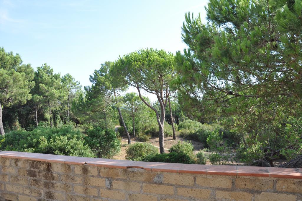 Tenuta Le Marze Castiglione della Pescaia Ngoại thất bức ảnh